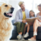 Air Purification Solutions for Pet Owners