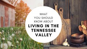 living in the Tennessee Valley