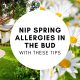 Nip Spring Allergies In The Bud With These Tips