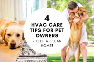 4 HVAC Care Tips for Pet Owners – Keep A Clean Home