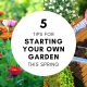 5 Tips for Starting your Own Garden This Spring