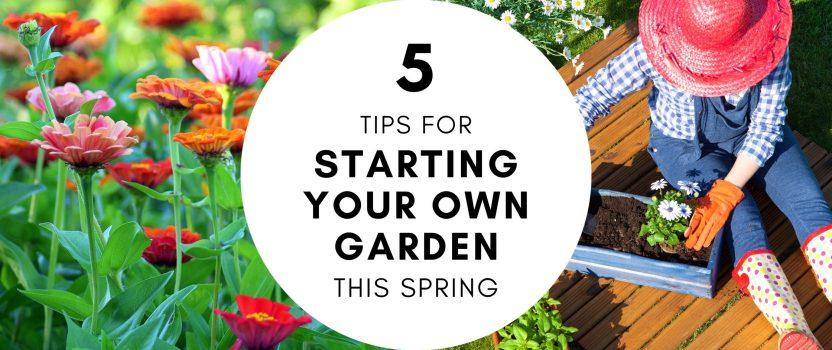 5 Tips for Starting your Own Garden This Spring