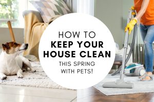 How to Keep Your House Clean This Spring With Pets