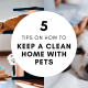 5 Tips on How to Keep A Clean Home with Pets