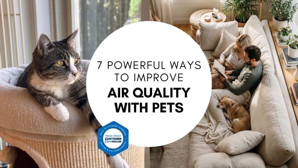 7 Powerful Ways to Improve Air Quality With Pets