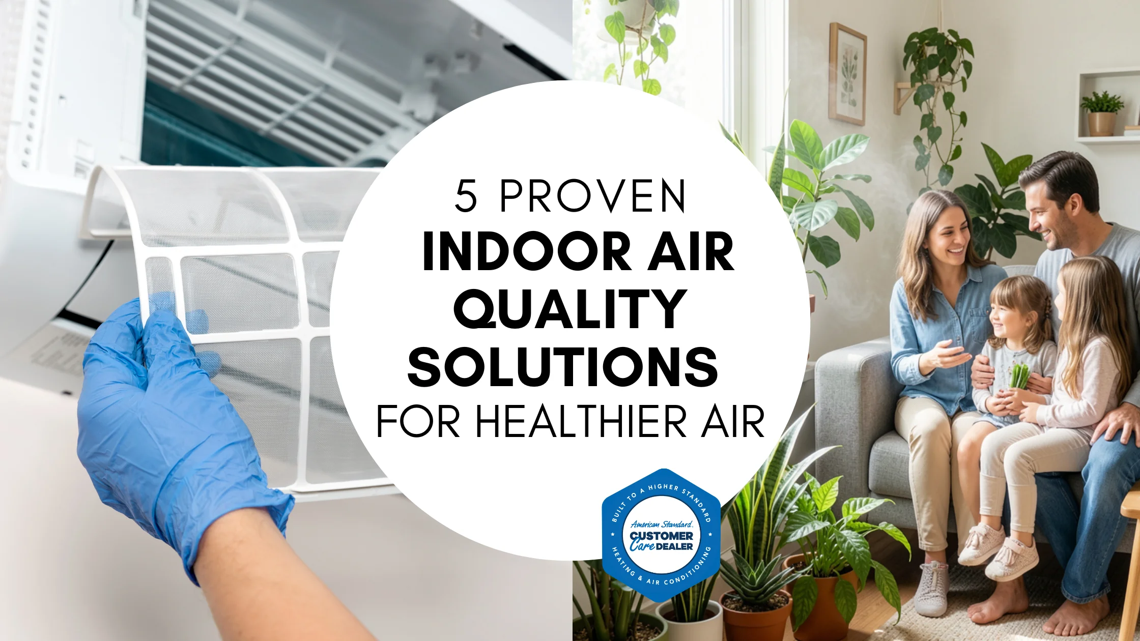 5 Proven Indoor Air Quality Solutions for Healthier Air